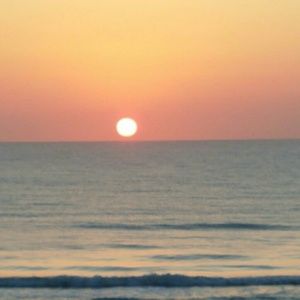 Meet your Posher, Debra